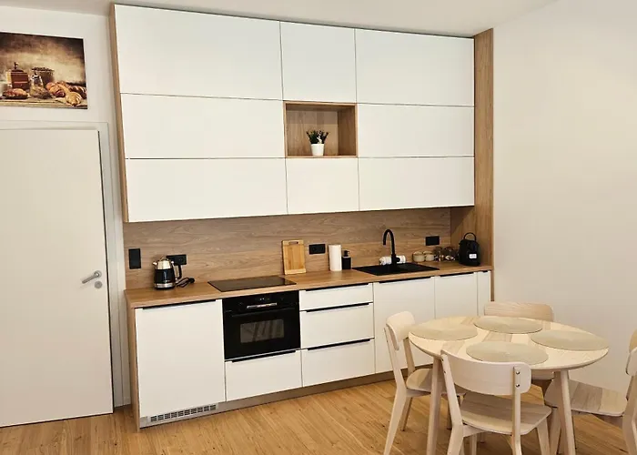 Apartament U Karla Brno